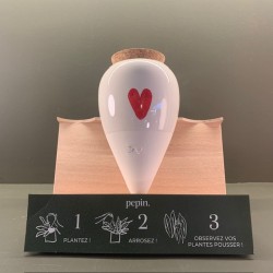 Olla - Cœur - Pepin.