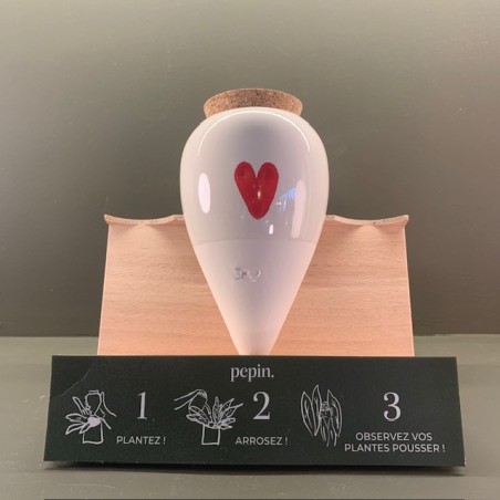 Olla - Cœur - Pepin.