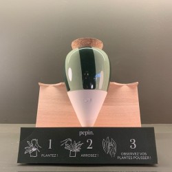 Olla - Rayé vert et vert - Pepin.