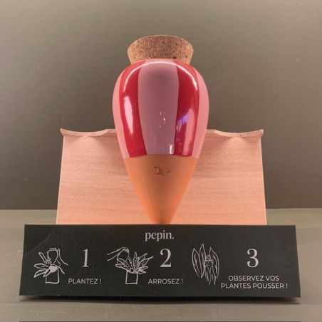 Olla - Rayé Rose et rouge - Pepin.