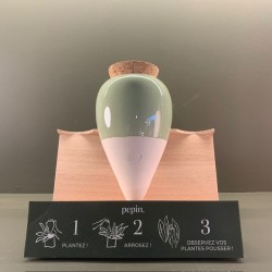 Olla - Vert - Pepin.