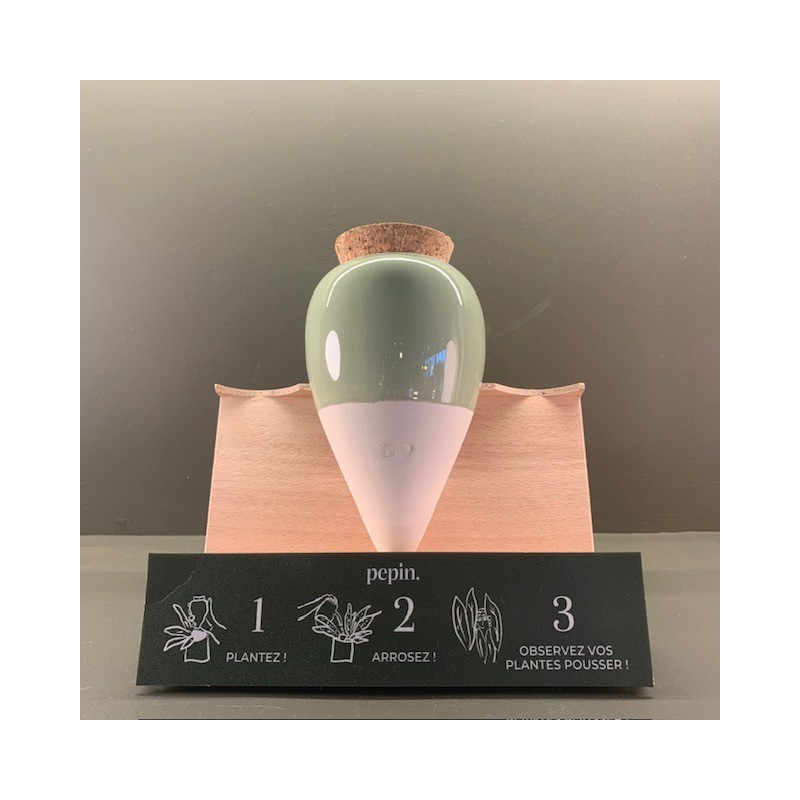 Olla - Vert - Pepin.