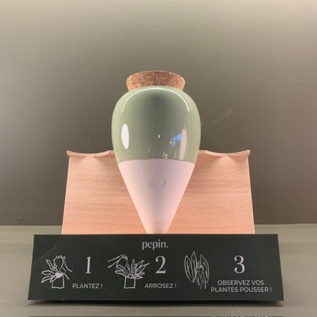 Olla - Vert - Pepin.