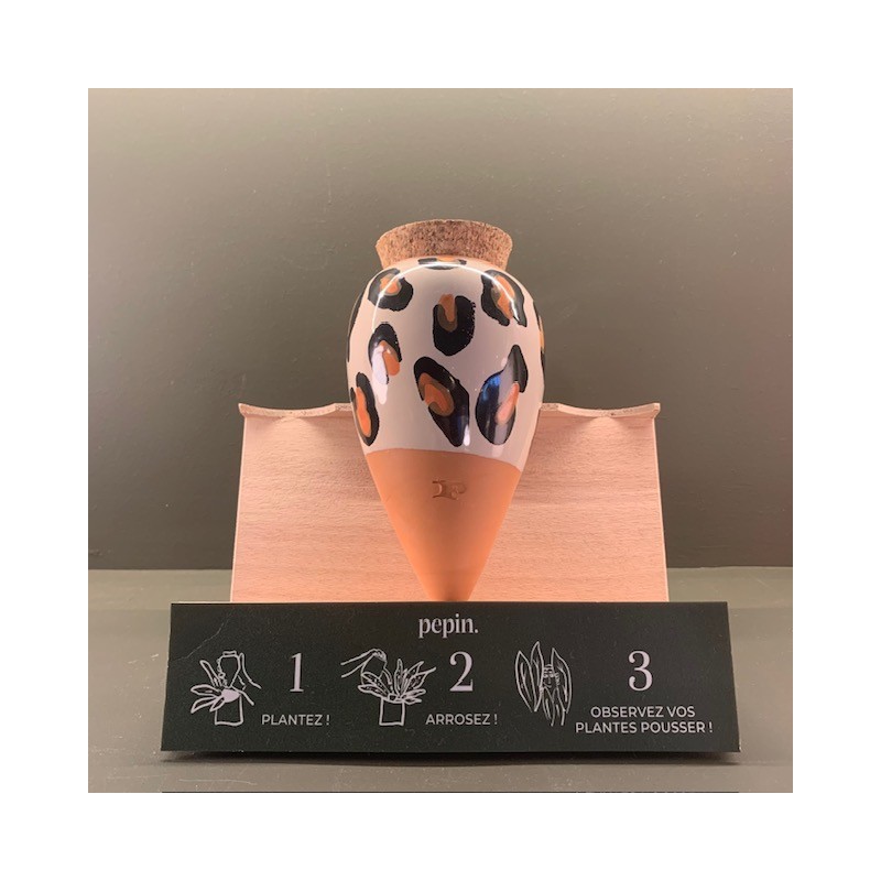 Olla - Léopard - Pepin.