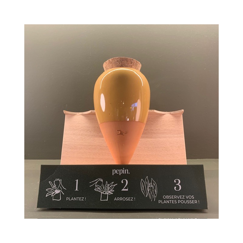 Olla - Jaune Moutarde - Pepin.