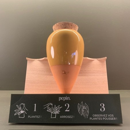 Olla - Jaune Moutarde - Pepin.