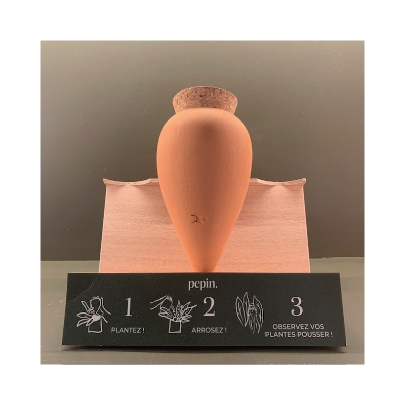 Olla - Terracotta - Pepin.