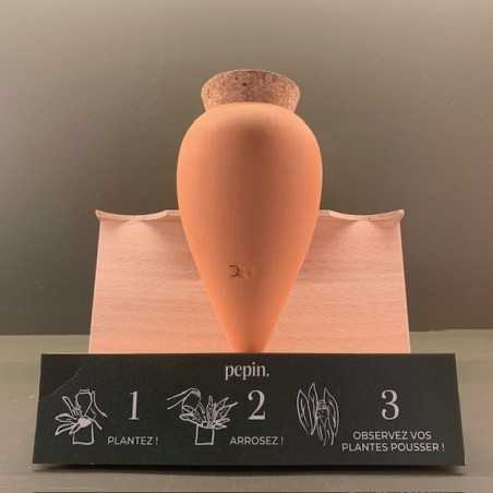 Olla - Terracotta - Pepin.