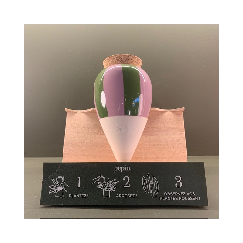 Olla - Rayé vert et Lilas - Pepin.