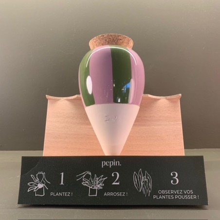 Olla - Rayé vert et Lilas - Pepin.