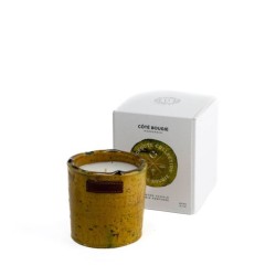 BOUGIE TAMEGROUTE BRUN - M - FLEUR D'ORANGER - COTE BOUGIE