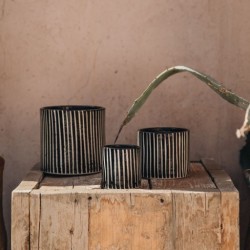 BOUGIE ZEBRE S - MANDARINE -COTE BOUGIE