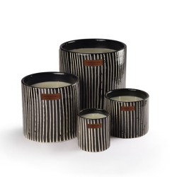 BOUGIE ZEBRE M - MANDARINE - COTE BOUGIE