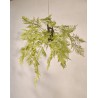 129092 - Plante suspendu ASPARGUS VERT - 109cm - SILK-KA