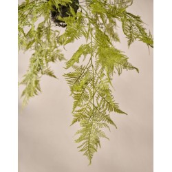 129092 - Plante suspendu ASPARGUS VERT - 109cm - SILK-KA