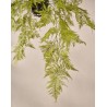 129092 - Plante suspendu ASPARGUS VERT - 109cm - SILK-KA