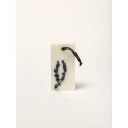 03 MIA - LARGE - CLOSET WAX BAR - ELEVEN PEOPLE