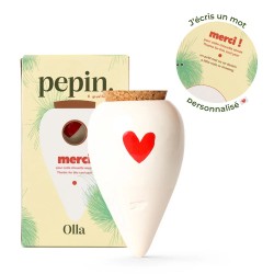 OLLA - MERCI - COEUR- PEPIN