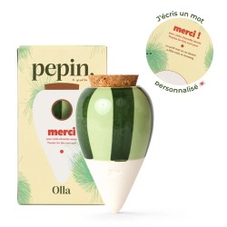 OLLA- MERCI - RAYE VERT ET VERTCLAIR - PEPIN