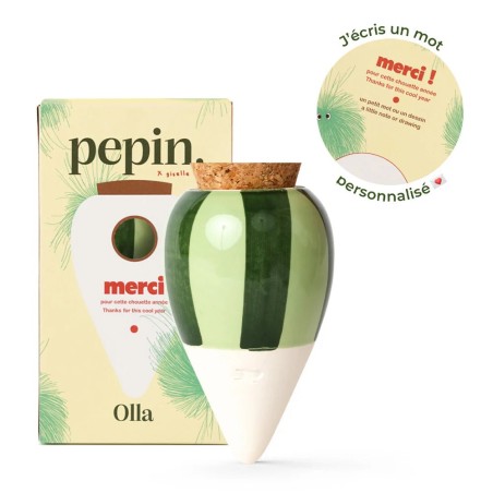 OLLA- MERCI - RAYE VERT ET VERTCLAIR - PEPIN