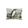 COUSSIN BESTIAIRE - TOOTSIE - 30x40 cm - LE MONDE SAUVAGE