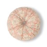 COUSSIN TOTORO ROND COTON - JAIPUR - D.40 cm - LE MONDE SAUVAGE