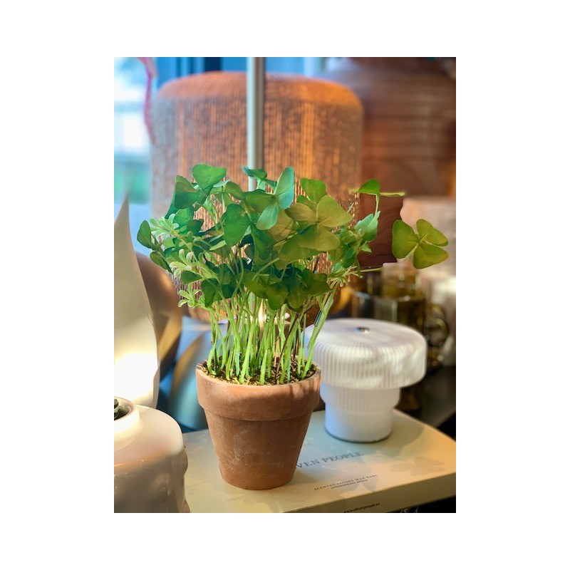 Pot Oxalis trèfles artificiel - Silk-ka
