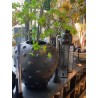 POT ROND AVEC POINTS ZIA - NOIR ANTIQUE - D.43xH.40 cm - NOORI