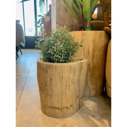 Cache pot en bois teck MAZ - MEDIUM - D.30 x H.30 cm