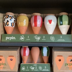 Olla - Vert - Pepin.