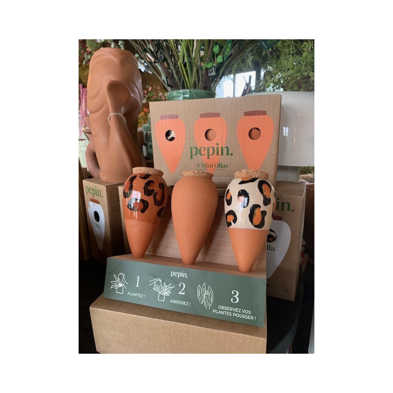 TRIO MINI OLLA- LES GRAOU - PEPIN