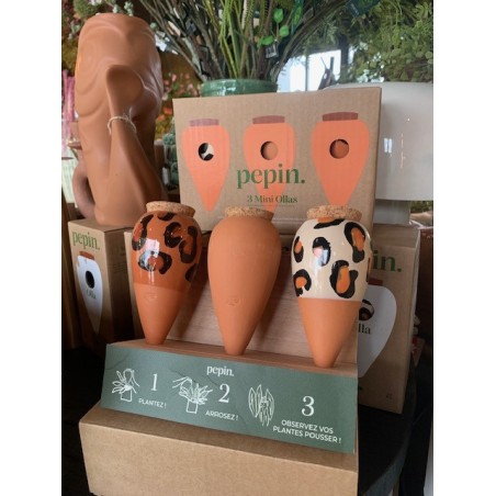TRIO MINI OLLA- LES GRAOU - PEPIN
