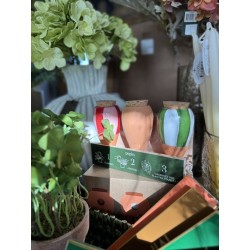 Trio Mini Olla - Les Rayés - Pepin.