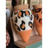Olla - Léopard - Pepin.