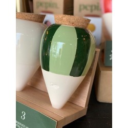Olla - Rayé vert et vert - Pepin.